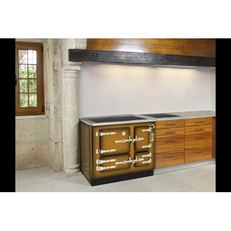 Cuisinière à bois Bio F Brun 100